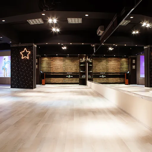 Latin Force Dance Studio - Зали 1 и VIP (Център). Sofia