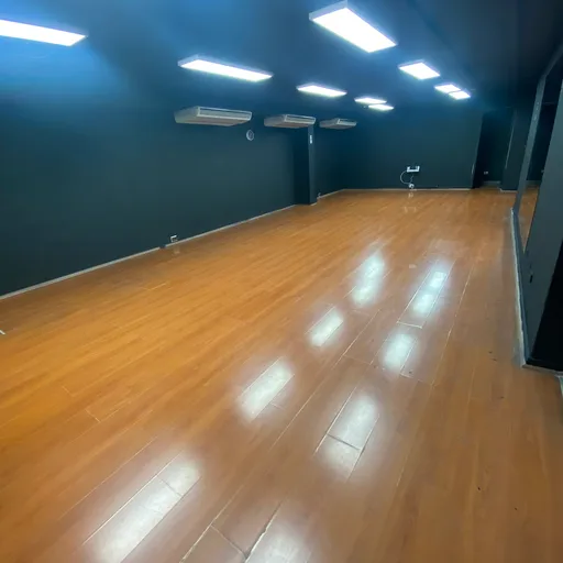 Bailemos Latin Dance. Santiago