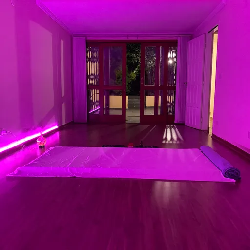 Escola de Danças e Terapias Sadhana Dance - Vila Mariana. São Paulo