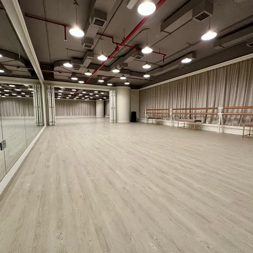 Reverie Dance. Abu Dhabi