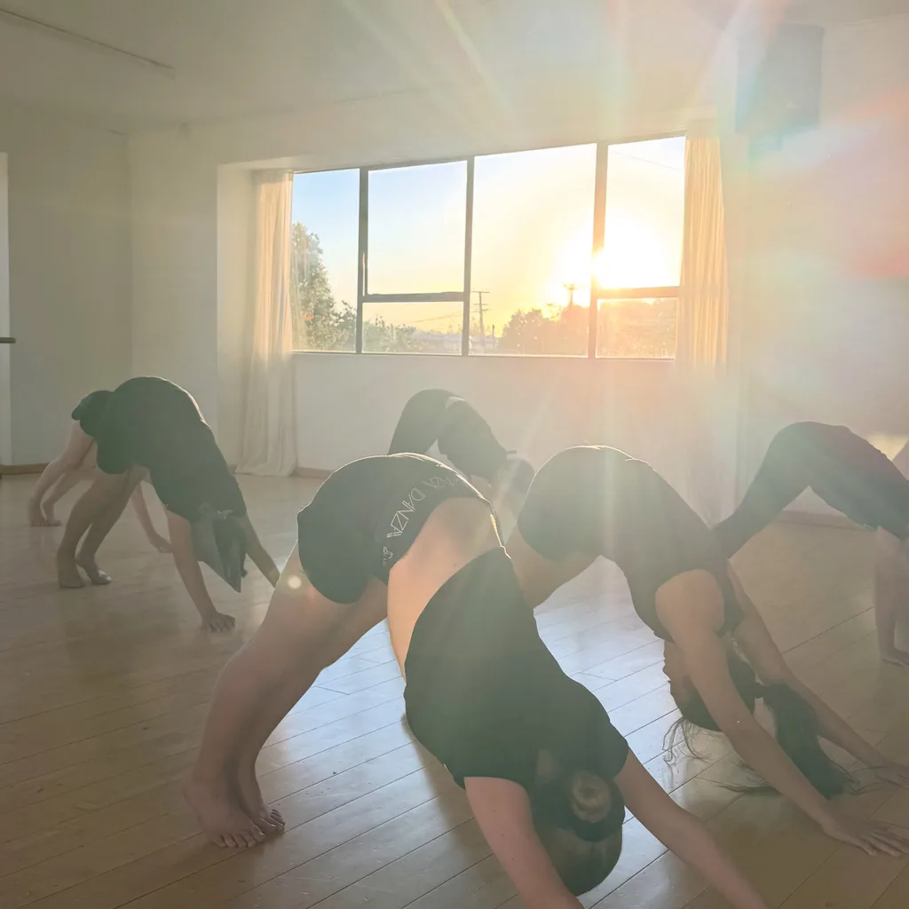 DANZA - Dance Classes, Dance Studio Hire. Whau, Auckland