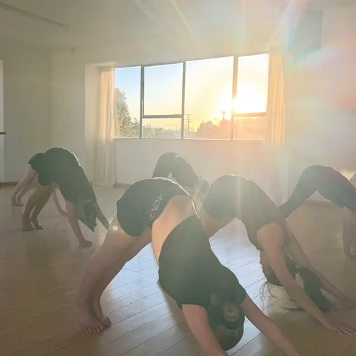 DANZA - Dance Classes, Dance Studio Hire. Whau
