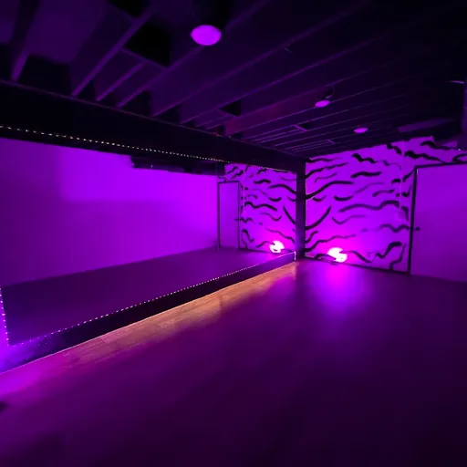 RYG DANCE STUDIO. Los Angeles