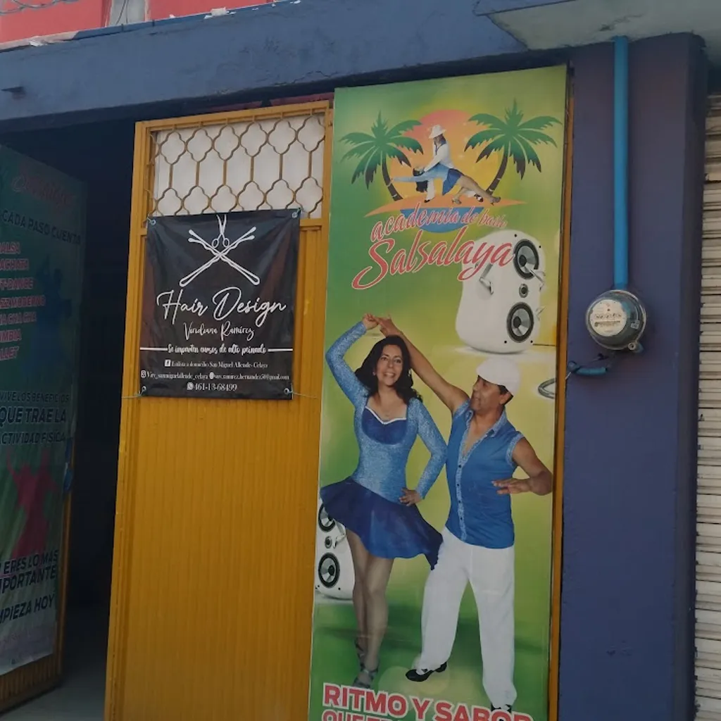 Academia de baile salsalaya. Gto.