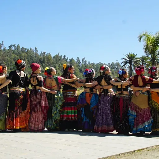 Banjara Danza del Vientre Tribal. Santiago