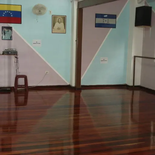 Academia Venezuela Latin Dance. Caracas