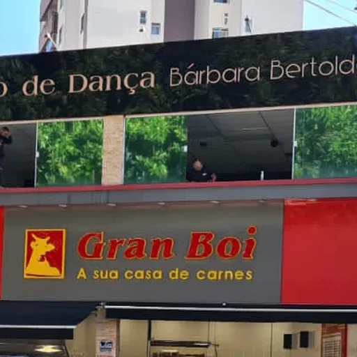 Studio de Dança Bárbara Bertoldo. São Paulo