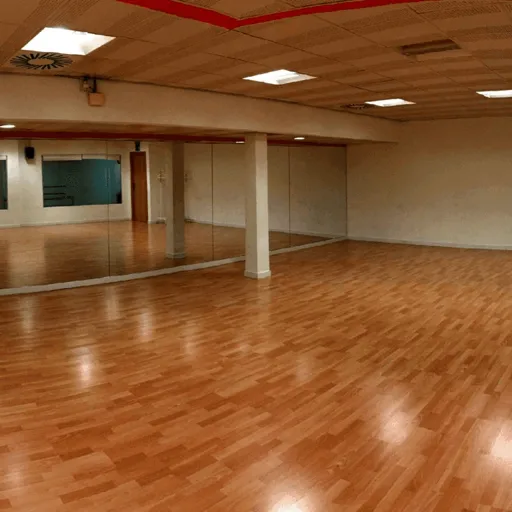 Escuela de Baile Serendipia. Barcelona