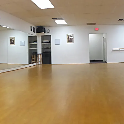 Dance Biz. Rochester