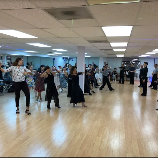 Tysons Ballroom Dance Center. Vienna